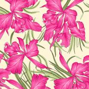 Cotton Fabric 01.jpg